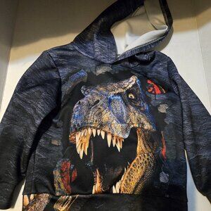 Toddler 4t-5t Dinosaur pullover